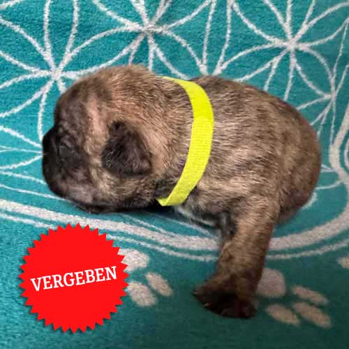 15.06.2025 Tagebuch37