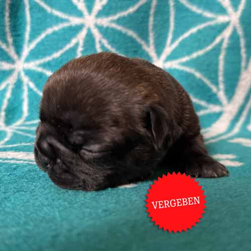 15.06.2025 Tagebuch39