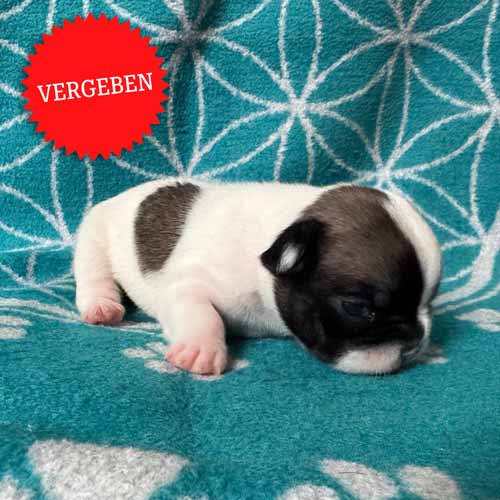 15.06.2025 Tagebuch40