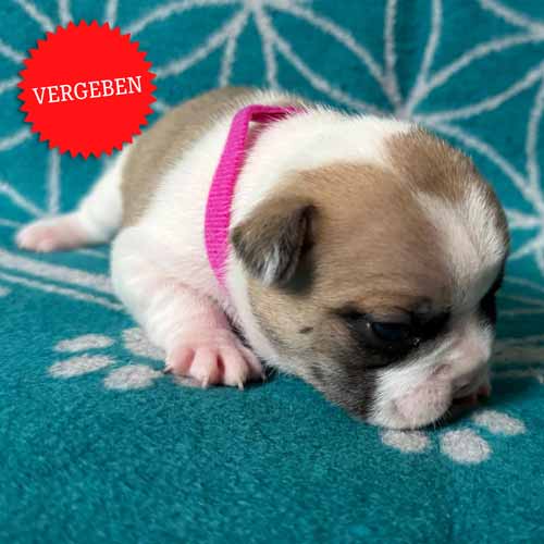 15.06.2025 Tagebuch41
