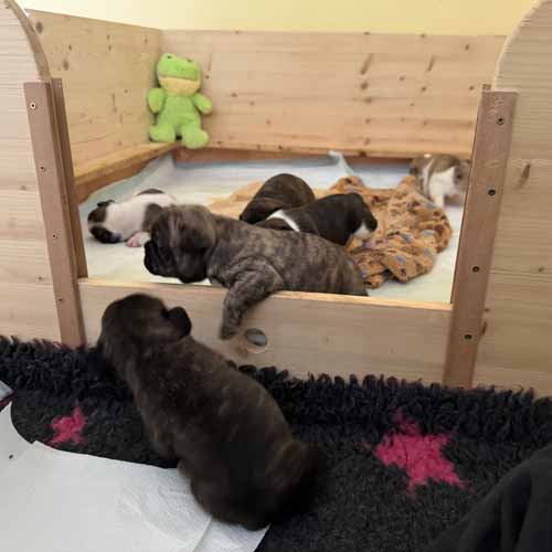 26.06.2025 Tagebuch60